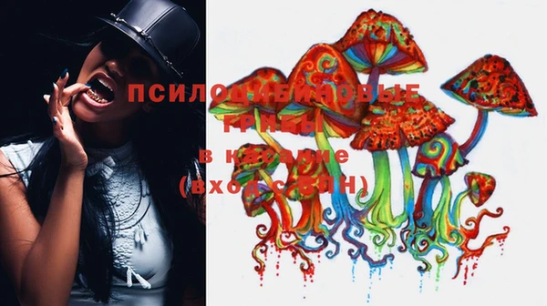 ПСИЛОЦИБИНОВЫЕ ГРИБЫ Алексин