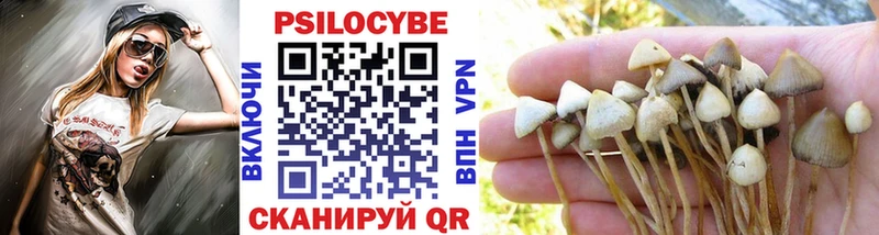 цена наркотик  Курлово  Галлюциногенные грибы Cubensis 